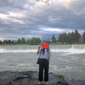 UNIQLO my favorite pants